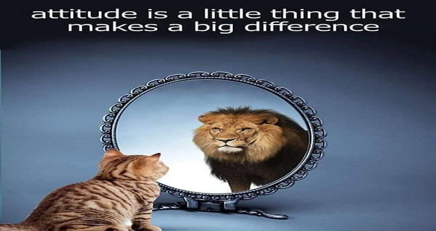 attitude towards life