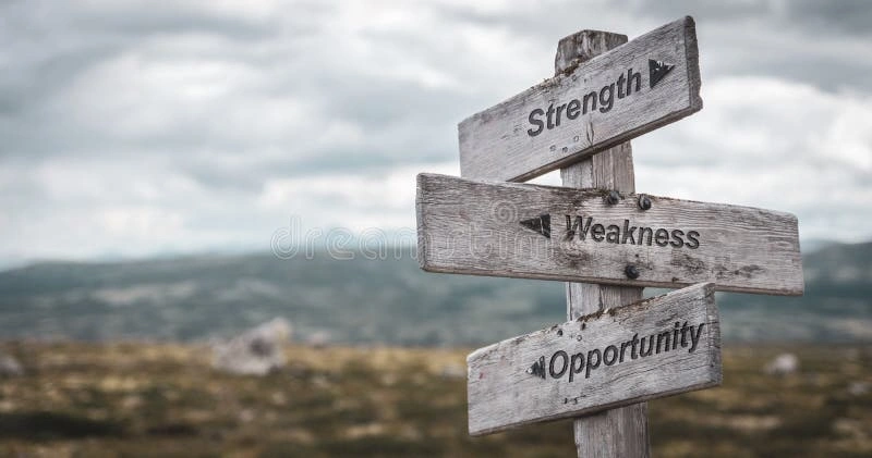 strenght and weekness 2