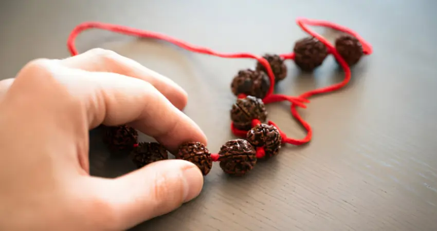 rudraksha 1 2