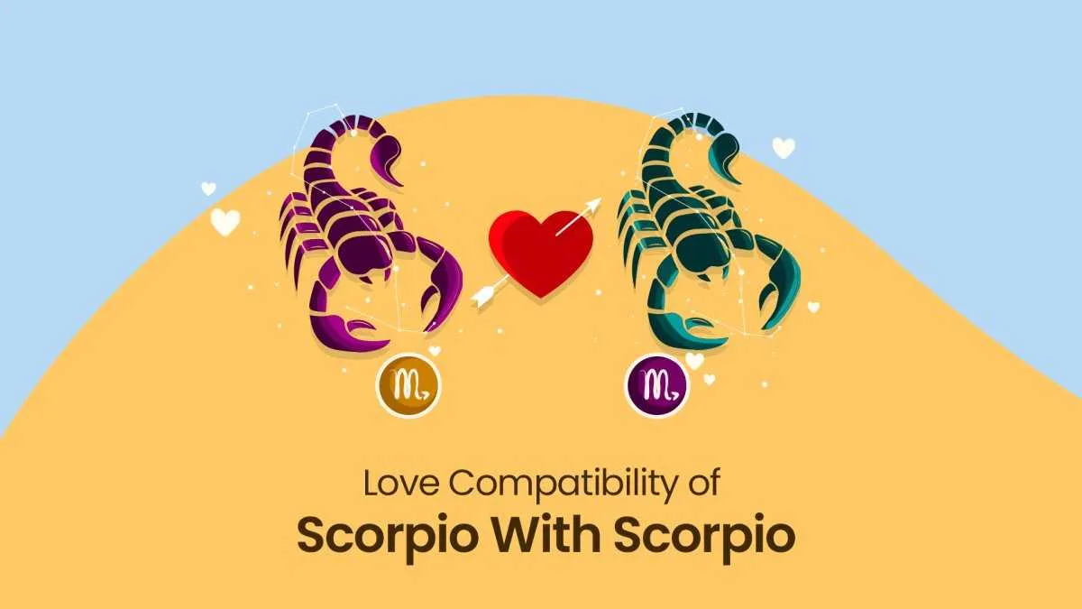 Scorpio Zodiac Sign Connection