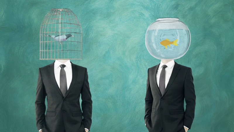 Aquarius zodiac2 img1